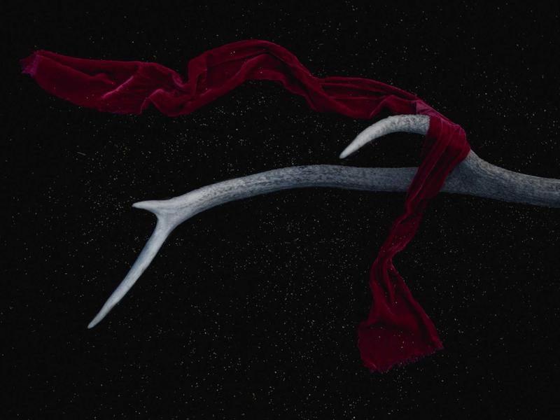 Yoga para Todos La Vega